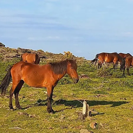 公寓 Playas Salvajes Y Relax